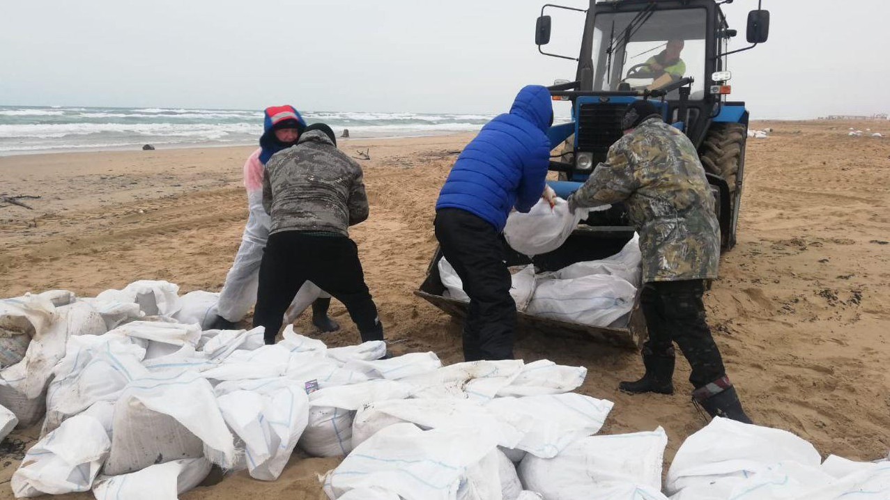 На Кубань приезжают волонтеры со всей России