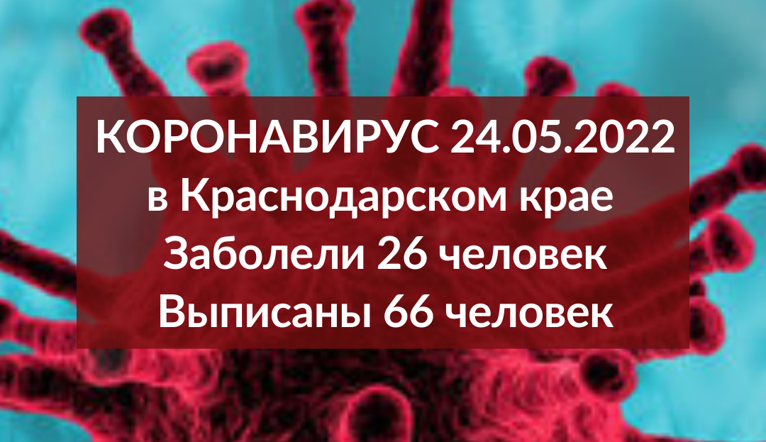 Всего 26 новых случаев коронавируса подтвердили на Кубани за сутки