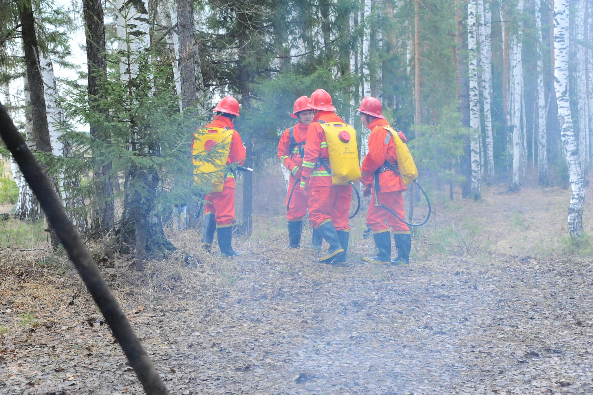 В Геленджике вспыхнул лесной пожар