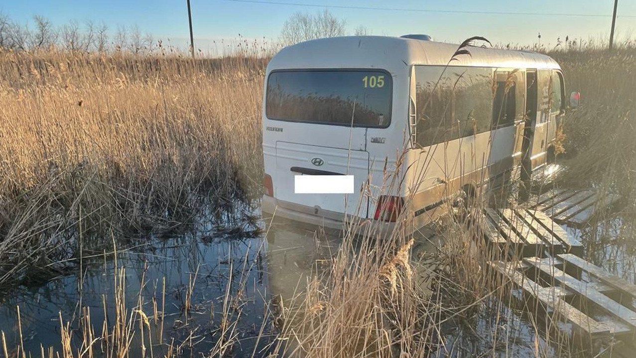 В Темрюкском районе автобус с пассажирами улетел в плавни в ДТП