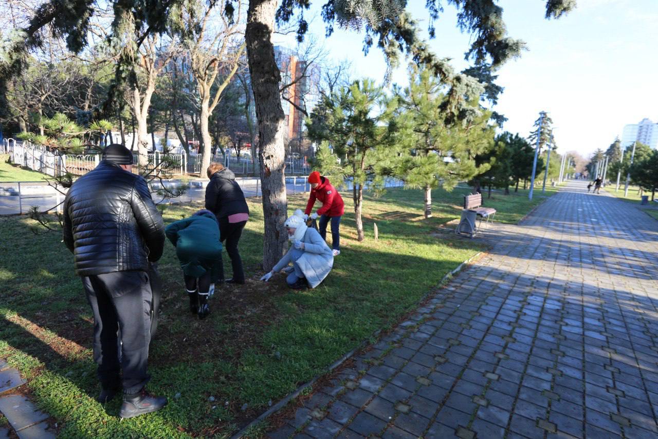 В Анапе провели общегородской субботник