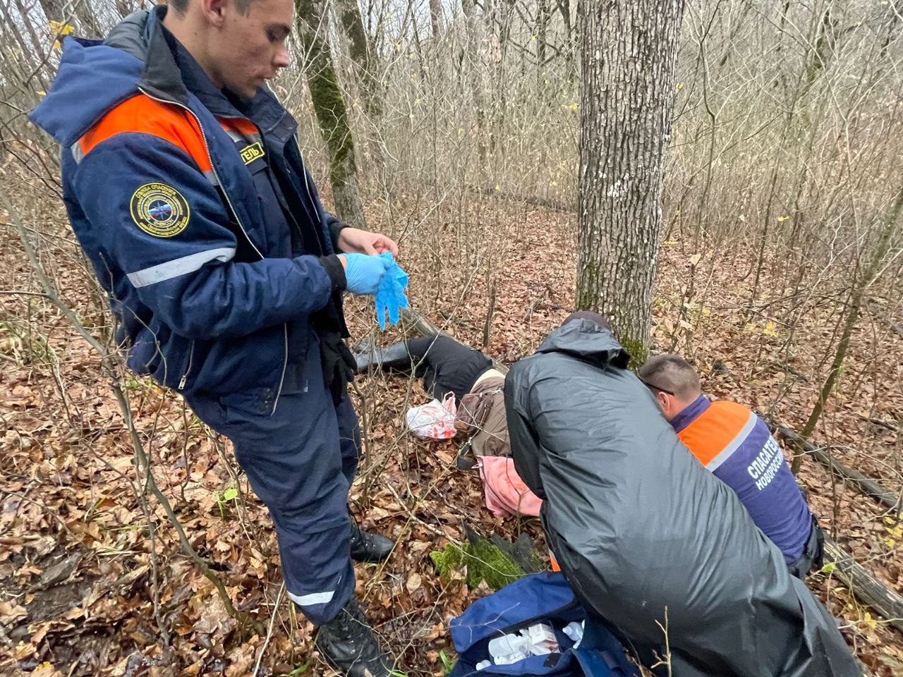 В Новороссийске дерево рухнуло на мужчину