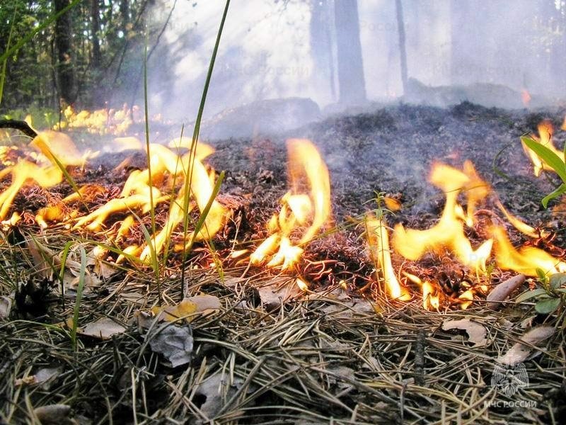 В Краснодарском крае сегодня пожароопасно