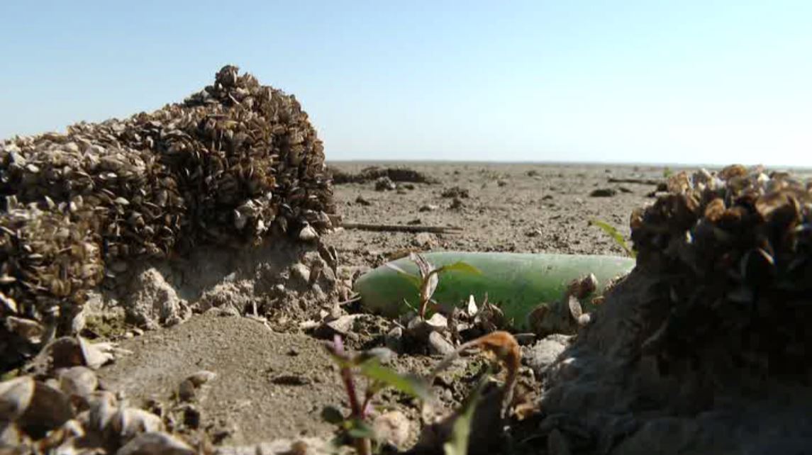 Краснодарское водохранилище рискует стать прогулочной зоной