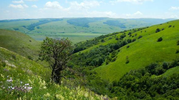 На Кубани появилась новая охраняемая природная зона