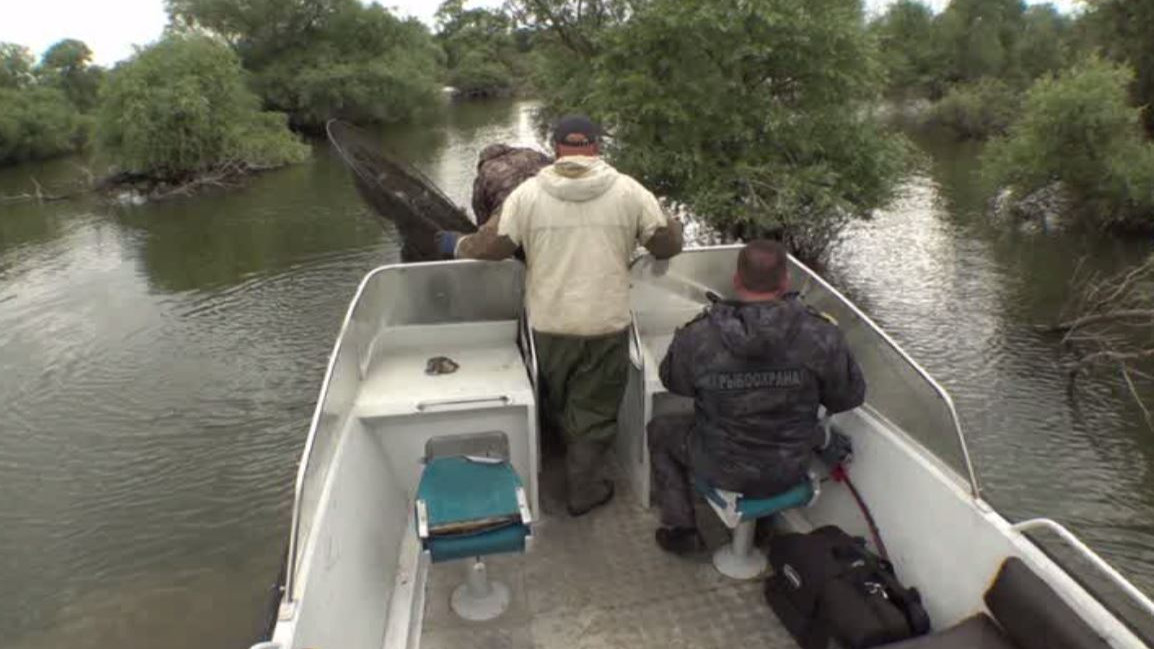 Облавы на браконьеров устраивают на Краснодарском водохранилище