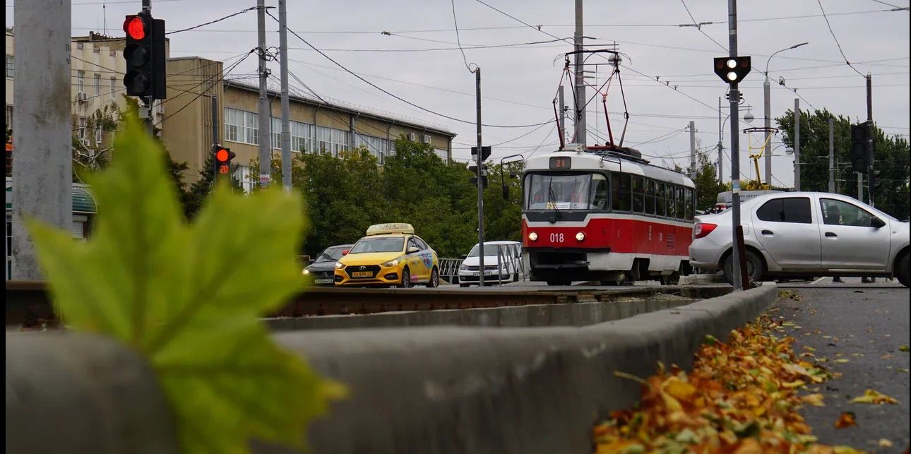 Жара в Краснодаре на этой неделе усилится — метеорологи