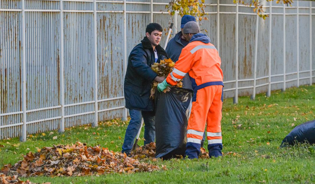 В Туапсе сетевой аферист обманул старушку и партнёров, но в тюрьму не сел