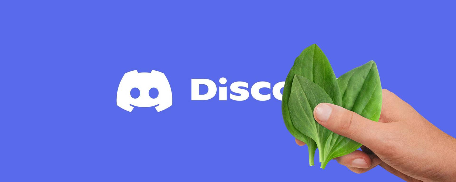 Руководство Роскомнадзора просят пересмотреть свое решение по блокировке Discord