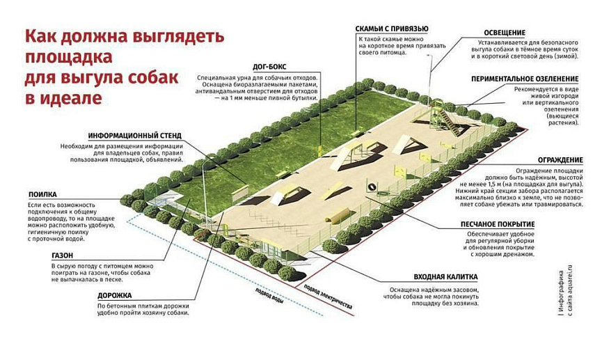 Жителям Новороссийска рассказали, где и как они будут выгуливать собак