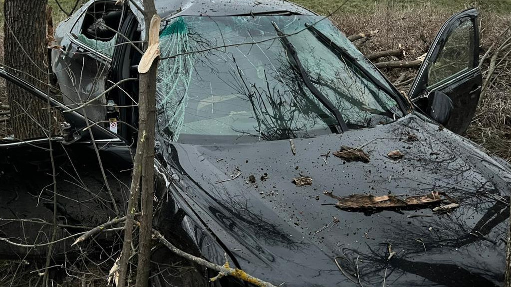 В Усть-Лабинском районе Toyota сошла с трассы и врезалась в дерево