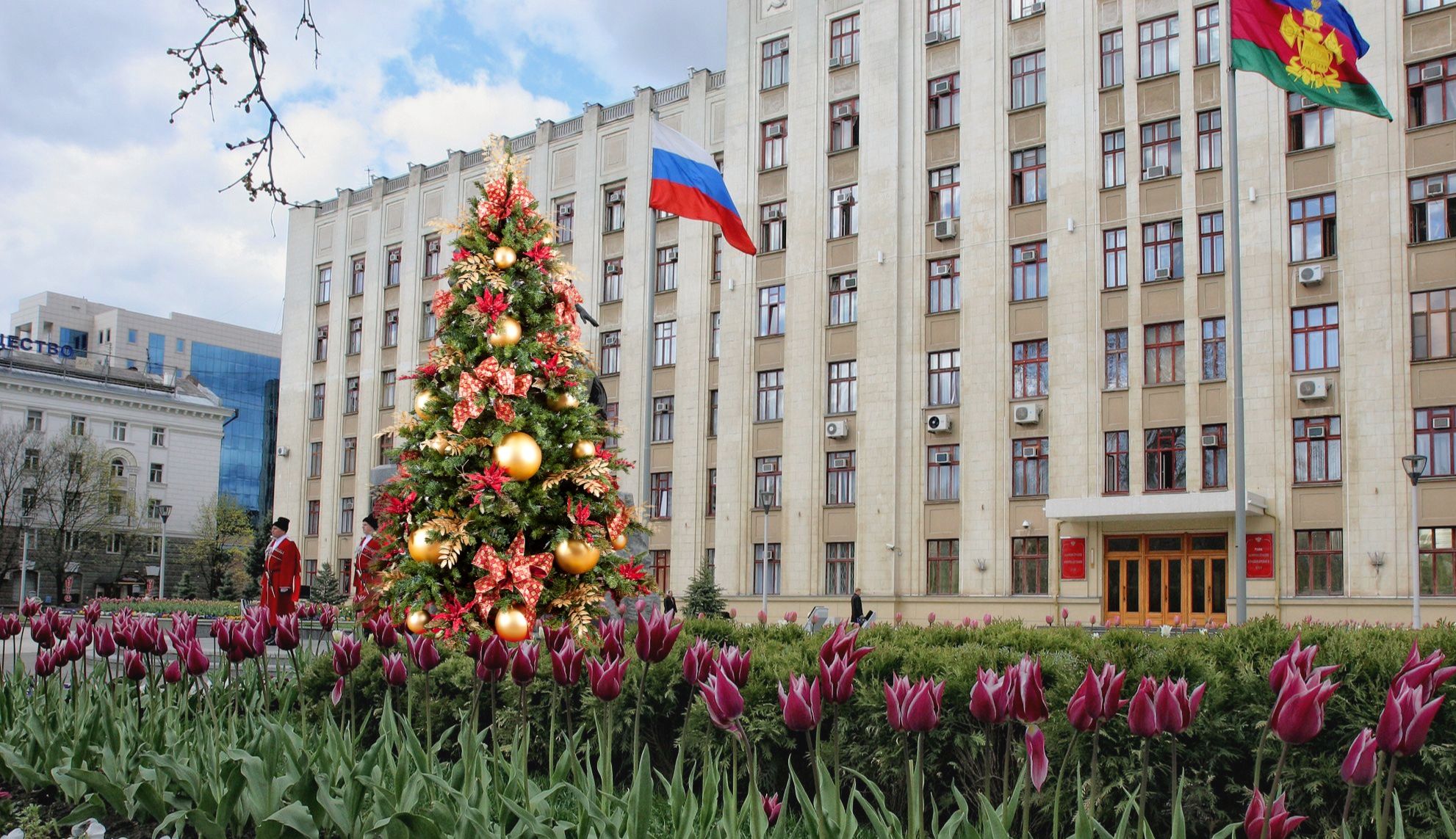 Стало известно, когда в Краснодаре появится первая новогодняя елка