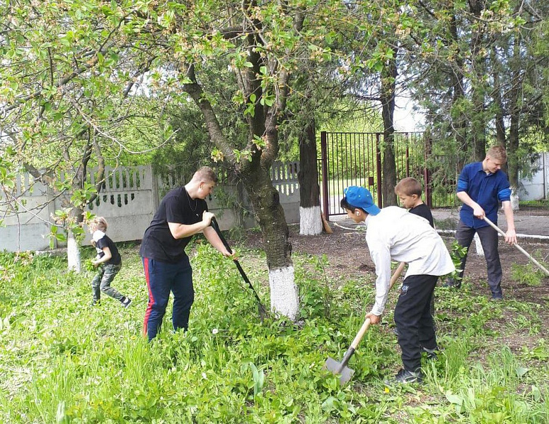 «Марафон зеленых дел» проходит на Кубани