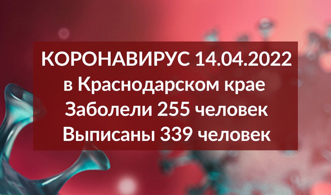 За сутки в Краснодарском крае выявили 255 случаев COVID-19