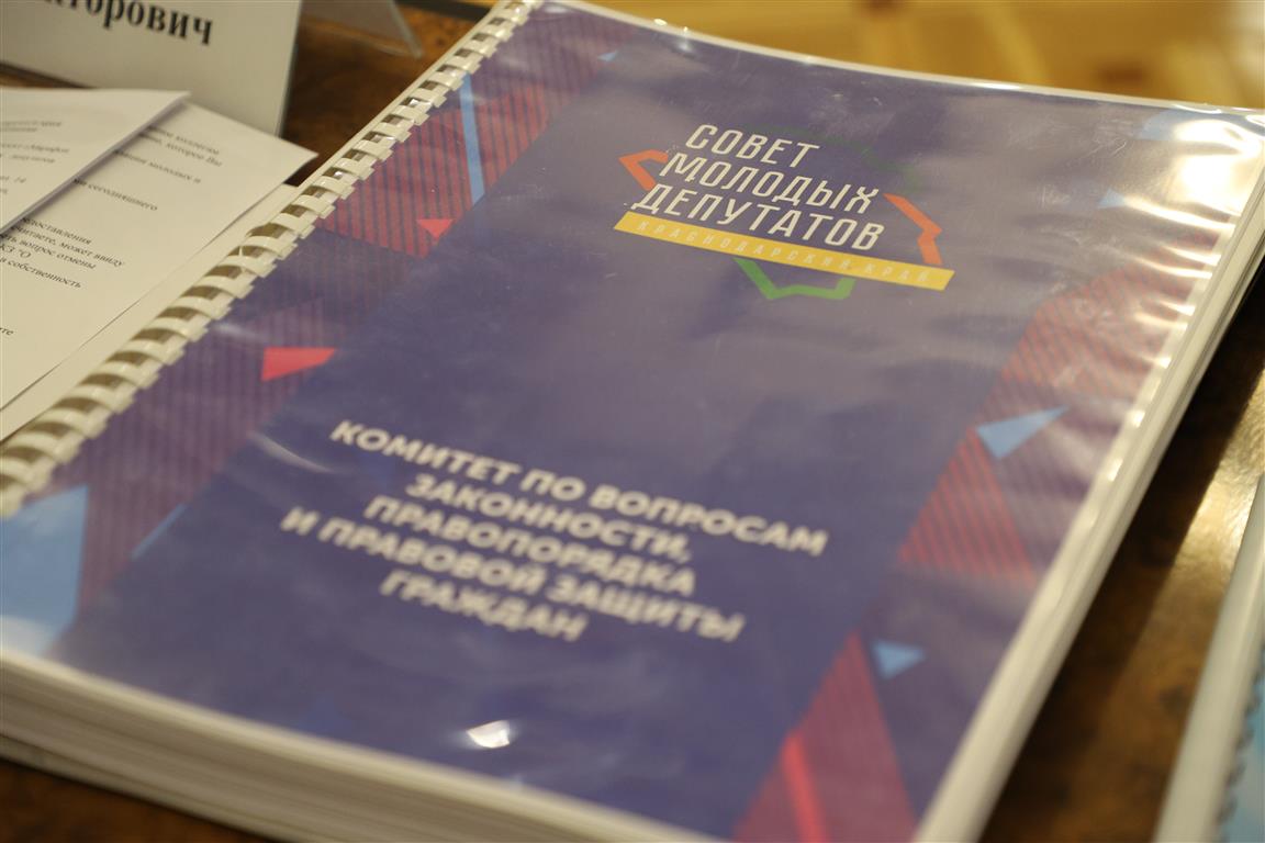 Социальные проекты молодых депутатов Кубани получили грантовую поддержку