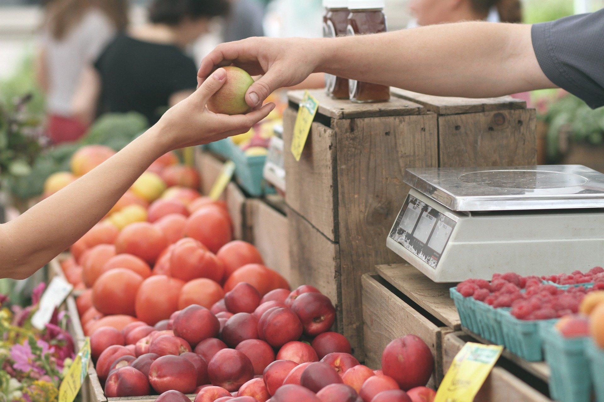 На Кубани будут проводить ежедневный мониторинг цен на продукты