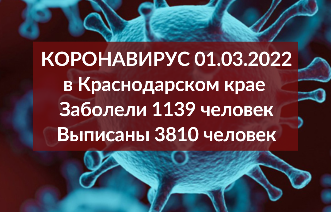 Еще 1139 новых заболевших выявили в Краснодарском крае за минувшие сутки