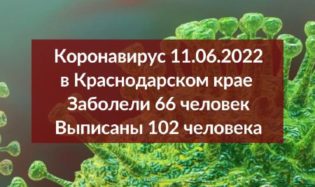 Коронавирусом на Кубани заразились 66 новых пациентов